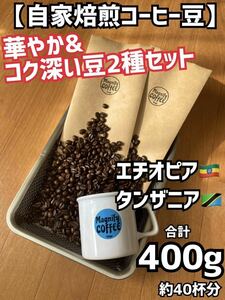 【匿名配送】自家焙煎コーヒー豆◆華やか&コク深い珈琲豆2種セット　(タンザニア(キリマンジャロ)/エチオピア モカシダモ) 400g / 約40杯分