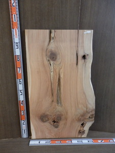 b2040618 新潟産杉●約99.5cm×60.5cm×厚2cm☆無垢板１枚板 木材 板 DIY 板材 天板 棚板 テーブル 看板 花台など種類豊富！