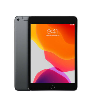 iPad mini5 256GB スペースグレイ A2124 Wi-Fi+Cellular 7.9インチ 第5世代 2019年 本体 中古 SIMフリー