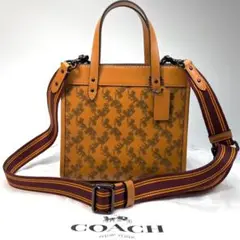 COACH コーチ 2way ハンドバッグ  ショルダーバッグ