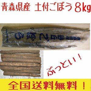 青森県産　　土付　ごぼう　L~３L　８ｋｇ　　送料無料！