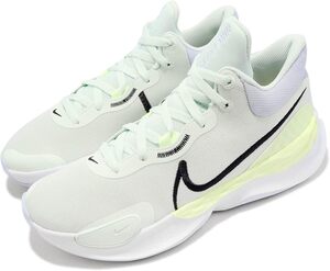 ・スピード発送 NIKE(ナイキ) Renew Elevate III ローカットスニーカー バッシュ DD9304(300)２７．５ＣＭ