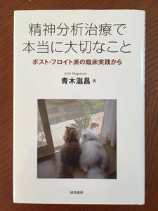 精神分析治療で本当に大切なこと―ポスト・フロイト派の臨床実践から