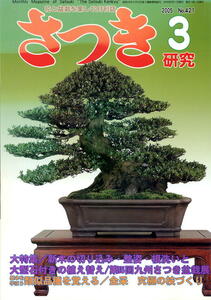 【月刊さつき研究】2005.03 ★ 新木の切り込み・整姿・根洗いと大型石付きの植え替え