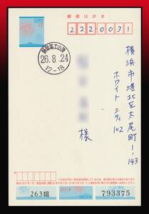 K87百円〜　期間限定季節局｜H26年暑中見舞52円葉書　丸型印：静岡・富士山頂/26.8.24/12-18　エンタイア