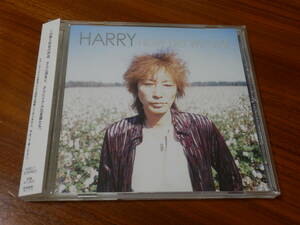 HARRY CD「HOW DO WE LIVE」ハリー THE STREET SLIDERS ストリートスライダーズ 村越弘明 帯あり