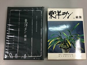 ▼　【東洋ラン 柄物　誠文堂新光社　昭和50年 蘭】141-02311