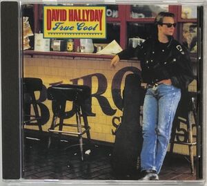 デヴィッド・ハリデー(David Hallyday)/True Cool