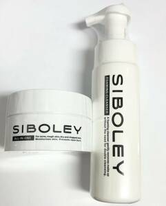 シボレー 泡クレンジング 200ml ジェルクリーム 100g SIBOLEY