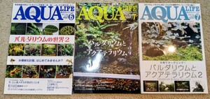 【絶版極美品！】月刊アクアライフ パルダリウム テラリウム 特集 9冊セット