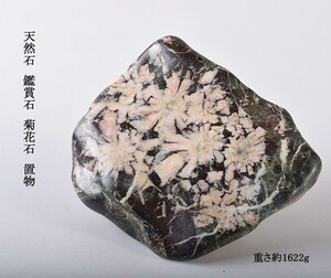 天然石　鑑賞石　菊花石　置物　重さ約1622g　古玩　VOYR