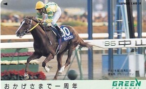 〆マヤノトップガン 平成7年度有馬記念 グリーンチャンネルテレカ