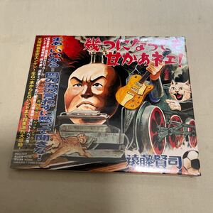 CD　遠藤賢司 / 幾つになっても甘かあネェ!