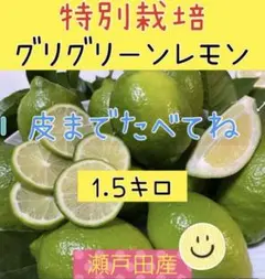 瀬戸田レモン　広島レモン　グリーンレモン　皮ごと食べて　ノーワックス　国産レモン