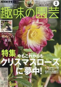 NHKテキスト趣味の園芸 2025年2月号