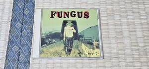 FUNGUS/明日に向かって C140③