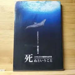 死ぬということ コマネズミの底知れぬ不安 桐生敏明