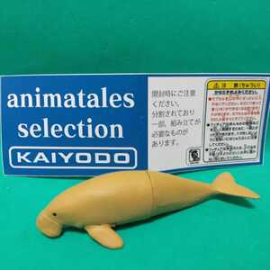 海洋堂フィギュアミュージアム おみくじクッキー フィギュア ジュゴン KAIYODO FIGURE MUSEUM RYUYUKAN animatales selection 