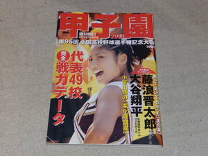 週刊朝日増刊　「甲子園2013」　第95回全国高校野球選手権大会　2013年8月　朝日新聞出版発行