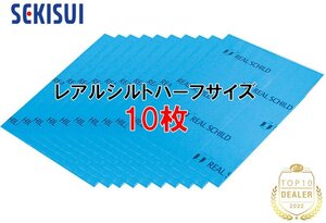 送料無料（一部有料） セキスイ レアルシルト ハーフサイズ 10枚 積水化学工業 RSDB 超制振 デッドニング