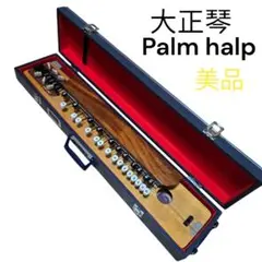 大正琴　Palm Harp 予備弦ピック付き 特選metoro 年末値下