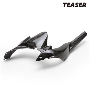 在庫あり TEASER [ドライカーボンHG] RFK06G リアフェンダー Kawasaki Ninja H2 SX (22-) Ninja H2 SE (22-) ティーザー DRY CARBON