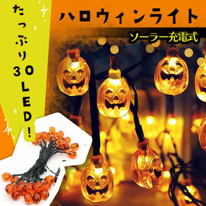 楽しく華やか★イルミネーションライト ハロウィン かぼちゃ ソーラー LED 30個 インテリア ガーデン 装飾 パンプキン イベント 電飾 S3