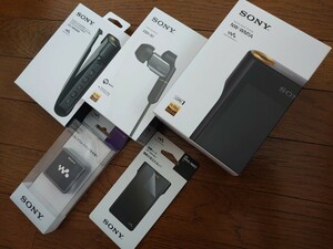 新品未使用 ソニー ウォークマン NW-WM1A 純正フルセット SONY WALKMAN 本体 画面保護フィルム イヤフォン ケース ACアダプタ 5点セット