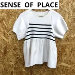 Z240928-17 SENSE OF PLACE トップス　フリーサイズ