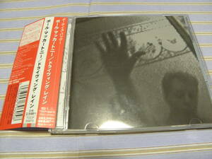 帯有CD■Ｐ．マッカートニー／ドライヴィング・レイン■美品