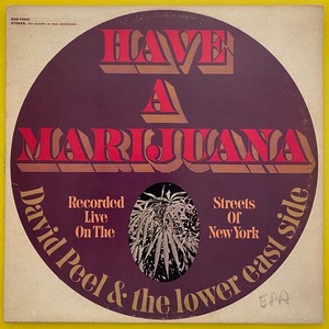 ◆DAVID PEEL & THE LOWER CAST SIDE「HAVE A MARIJUANA(マリファナ)」US盤LP(1968年)◆