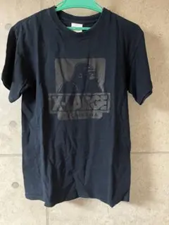 X-LARGE Tシャツ　ビックロゴ