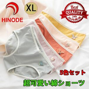 XL　５色セット　可愛い　綿ショーツ　コットン レディース パンツ　FS-8XL