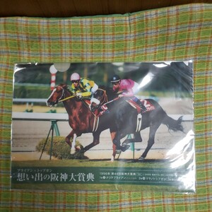 送料込み＆非売品＆未開封品！ＪＲＡ！1996年！第44回阪神大賞典！クリアファイル！ナリタブライアン！マヤノトップガン！田原成貴！武豊！