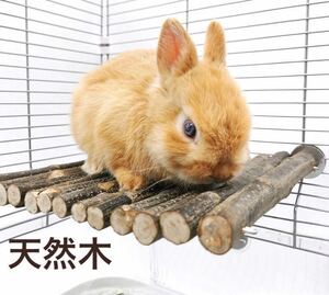 小動物 ステージ ステップ 止まり木 天然木 遊び場 ラット ハムスター