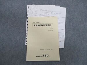 UB01-056 SEG 東大解析数学(理系)β テキスト 2020 冬期 木村浩二 002s0D