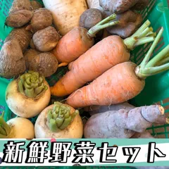 愛知県産　野菜セット