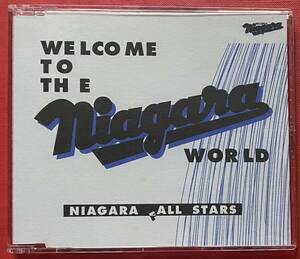 【希少CD】送料無料 大滝詠一「WELCOME TO THE NIAGARA WORLD」EIICHI OHTAKI ナイアガラ 非売品 盤面良好 [0825]