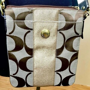 ★☆現状渡し COACH/コーチ ショルダーバッグ/シグネチャー/レディースバッグ/ピンク/☆★