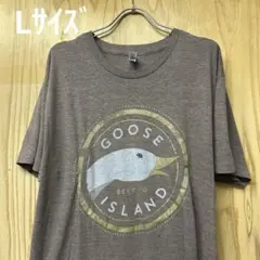 USA古着Tシャツ Lサイズ American apparel ブラウン　アヒル