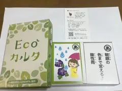 【新品】Ecoカルタ　環境問題が楽しく学べる！SDGz