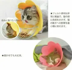 ★エリザベスカラー★ 犬 猫 Sサイズ ピンク イエロー　ペット用品