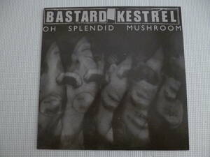 BASTARD KESTREL / Oh Splendid Mushroom ■USオリジナル盤 noise rock ノイズロック オルタナ sonic youth boredoms pussy galore