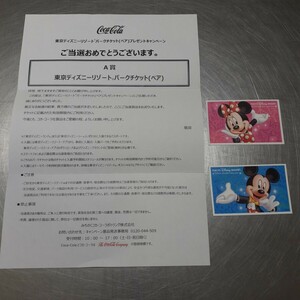 東京ディズニーリゾートパークチケット（ペア）