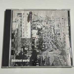 CD『Silver White / Ambient World』Kaeru Cafe カエルカフェ フランス ロシア 環境音 日本のセミ サンプリング音源 アンビエント