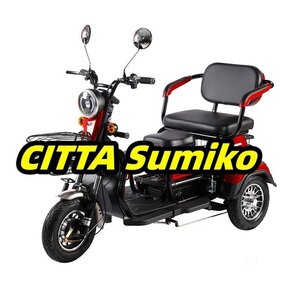 高齢者向けの小型電動三輪車 家庭用 三輪車 回転式三輪車 600w 12A 25KM