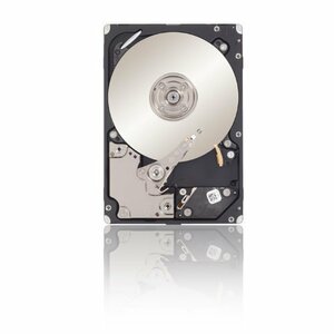 (中古品)Seagate Savvio 10K.6 300GB 2.5 6G SAS　(shin