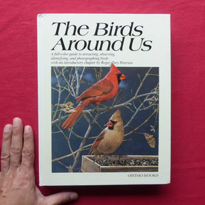 b4/洋書【私たちの身の回りの鳥：The Birds Around Us】 @2