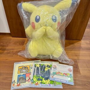 ポケモン 一番くじ ピカチュウ ぬいぐるみ ハンドタオル ラバータイ A賞 G賞 I賞 2024 Pokemon Collection くじ 4点セット