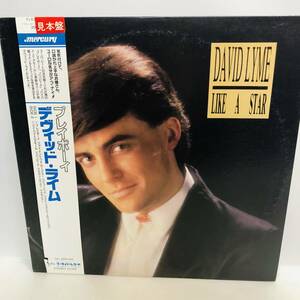 【LP】レコード 再生未確認 見本盤 帯付 DAVID LYME / LIKE A STAR / PLAY BOY 収録 ※まとめ買い大歓迎!同梱可能です